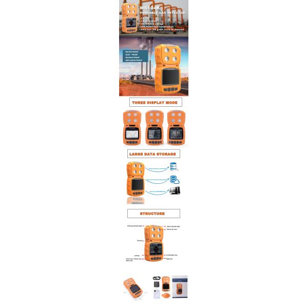 Multi Gas Leak Detector