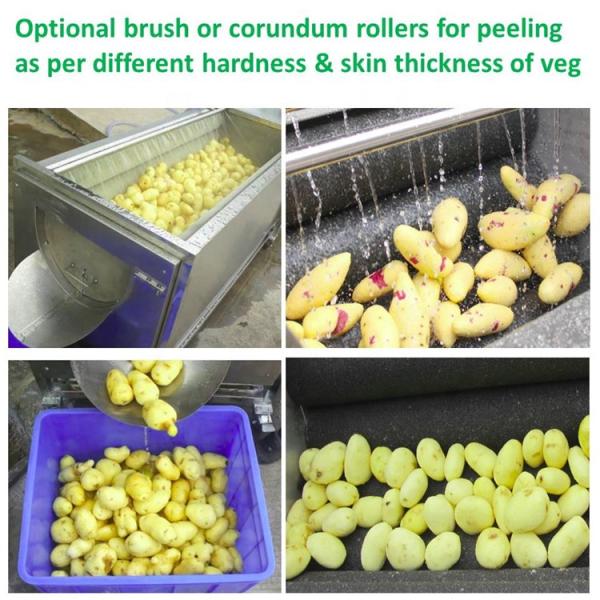 Industrial Fruit Vegetable Processing Machine Orange Mango Cleaning Drying Packing