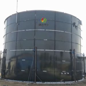 High Efficiency UASB Integrated Biogas Anaerobic Reactor Equipment