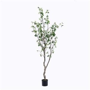 China Plastic Spanish Cedar wholesale