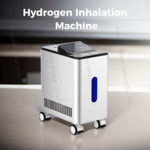 China Hydrogen Inhalation Machine 280W AC220V Strengthens Immunity WEIZI wholesale