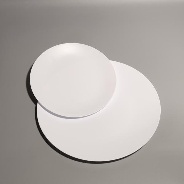 FDA Certified BPA Free Customizable Stackable Plastic Food Tray / Disposable