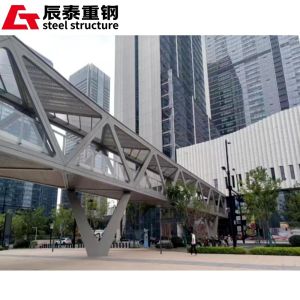 China Customized Steel Truss Bridge Construction Fast Construction Speed wholesale