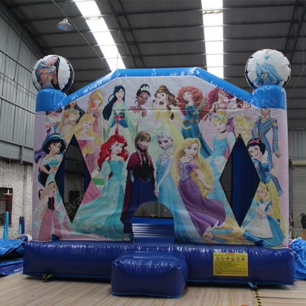 Castle Inflatable Bouncer Cartoon Character Bouncy Jumping House with Customized Size