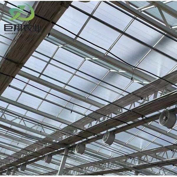 Shipping Container Greenhouse for Growing Leafy Greens in 40HQ Reefer Container
