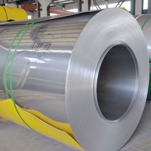 1000-6000mm Length Stainless Steel Strips 201 304 316L 0.5MM Thickness