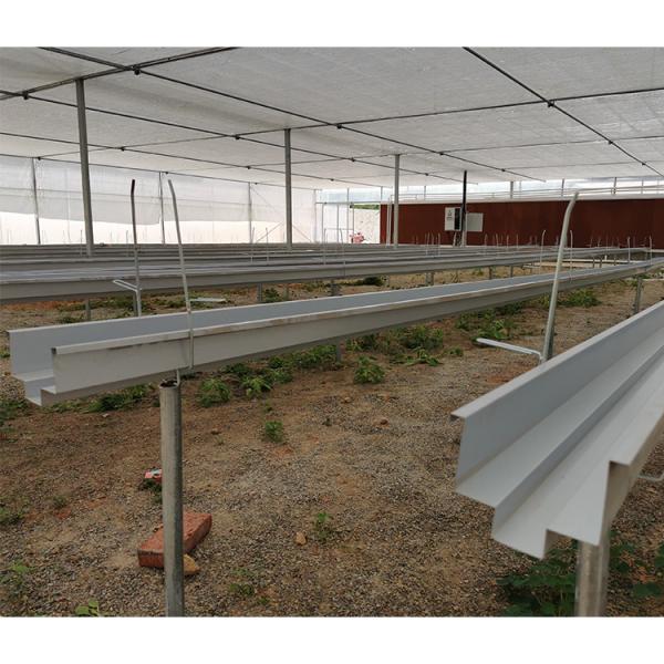 Hot Dipped Galvanized Steel Pipe Greenhouse Vent for Open Ventilation and Ridge Roof