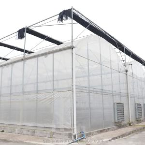 Multi Span Agricultural Film Greenhouse With Super Strong Resistance