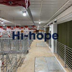 China Complete Pig Farm Design Pigger Solutions With Complete Equipment on sale