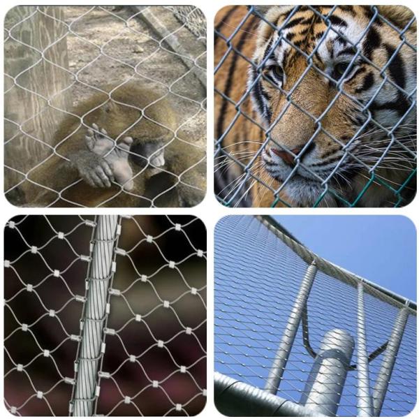 application wire rope mesh