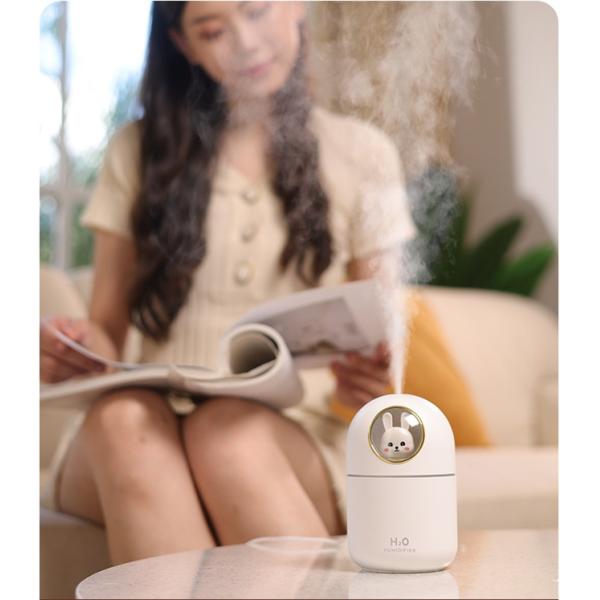 Auto Shut Off 300ML Air Purifier Humidifier CE RoHS 50ml/H Space Rabbit Humidifier