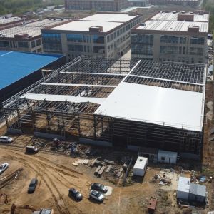 50-Year Painting Prefabricated Steel Frame Buildings for Agriculture