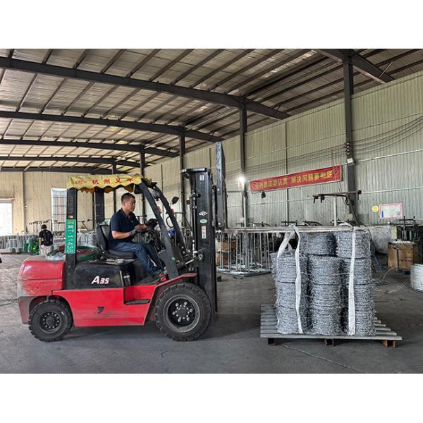 Hot-dipped Galvanized Security Barbed Wire High-Diameter Wire for Secure Boundaries