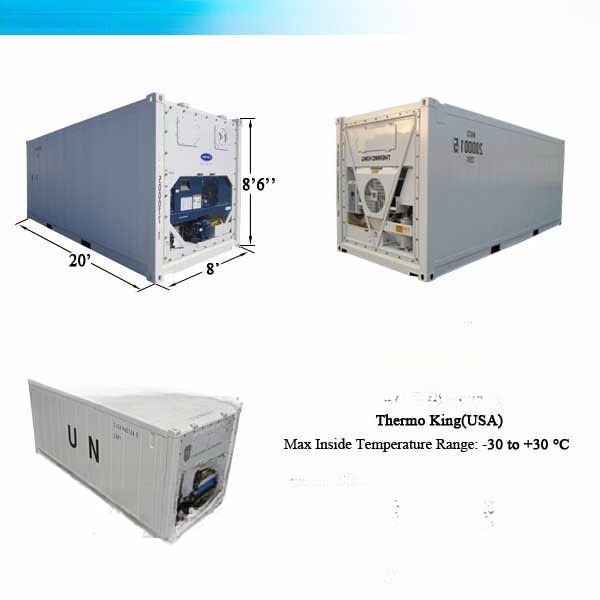 20ft Corten-A Refrigerator Reefer Container in Dubai Ideal for Freezer Fish and Meat Transport