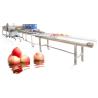 Buy cheap Hot selling Industrial Fruit Washing Machine With A Cheap Price by Huafood from wholesalers