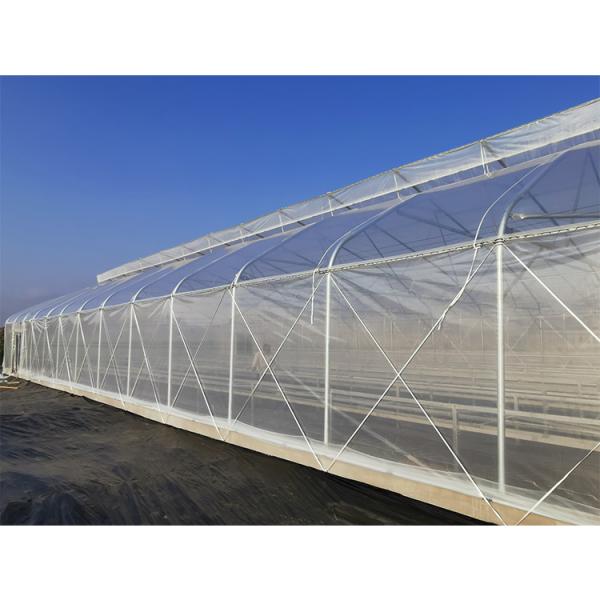 UV Resistant Single Span Greenhouse 200 Micron Plastic Film Long Lasting