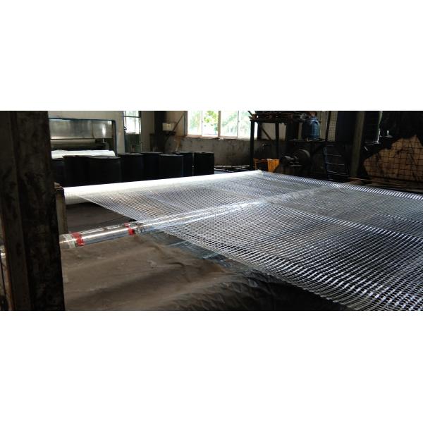 Modern Design Geogrids PE Biaxial Mesh Fiberglass for Driveway Stabilization Solution