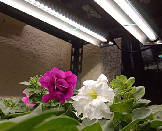 Dimmable Smart 5116 Lumen Led Grow Light Timer 39W For Seed Germination