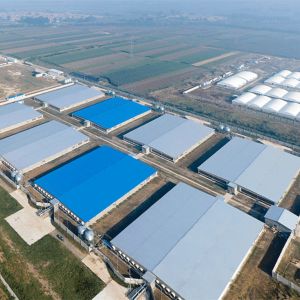 China Lightweight Steel Structure Farm Fireproof Steel Poultry House GB wholesale