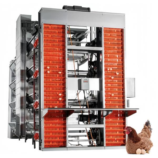 Automatic Broiler Chicken Farming Equipment H Type Chicken Steel Cage