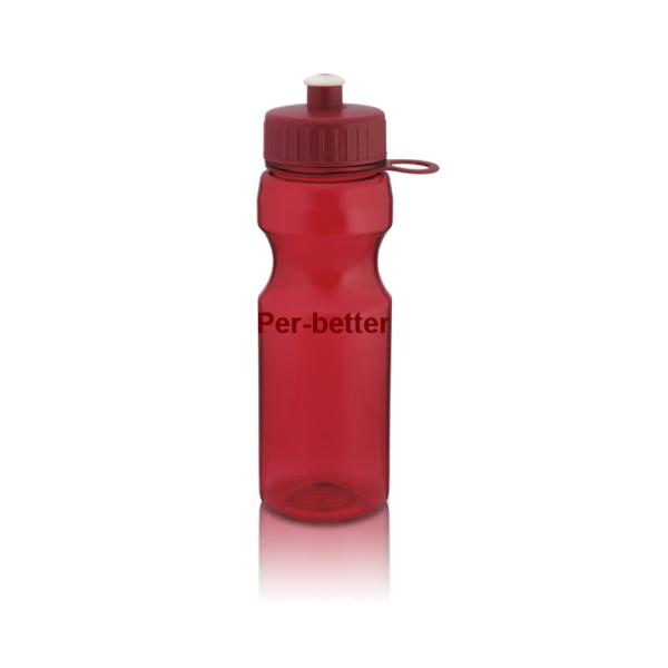600ml water bottle with push pull cap