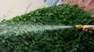 High Pressure Cleaner with 30L Foldable Bucket (RH-30)