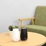 Mini Essential Oil Car Diffuser Scent Machine Home