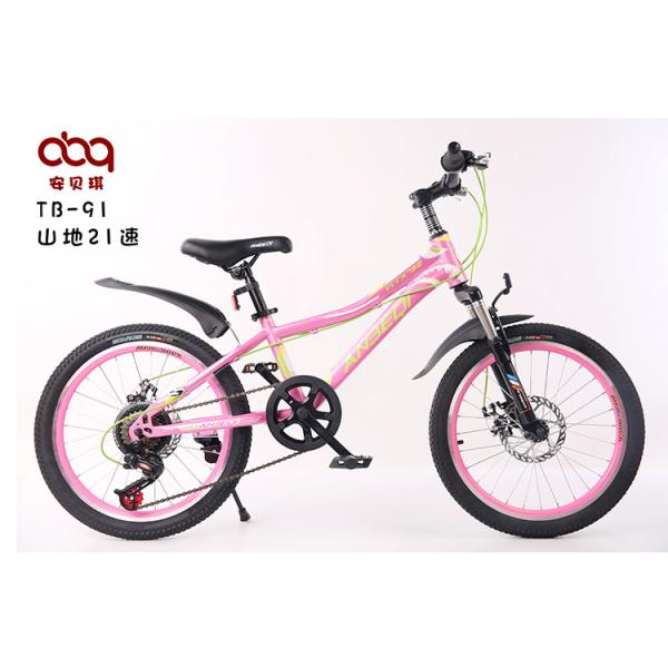 21 Speed MTB Mountain Bikes 20 Inch ODM OEM Customized Logo Accept