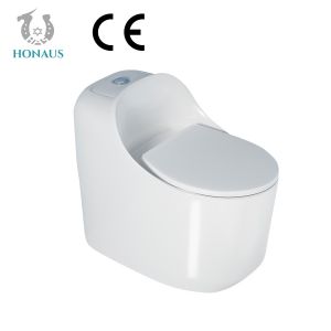 Bathroom Soft Close Modern One Piece Toilet Bowl Customizable
