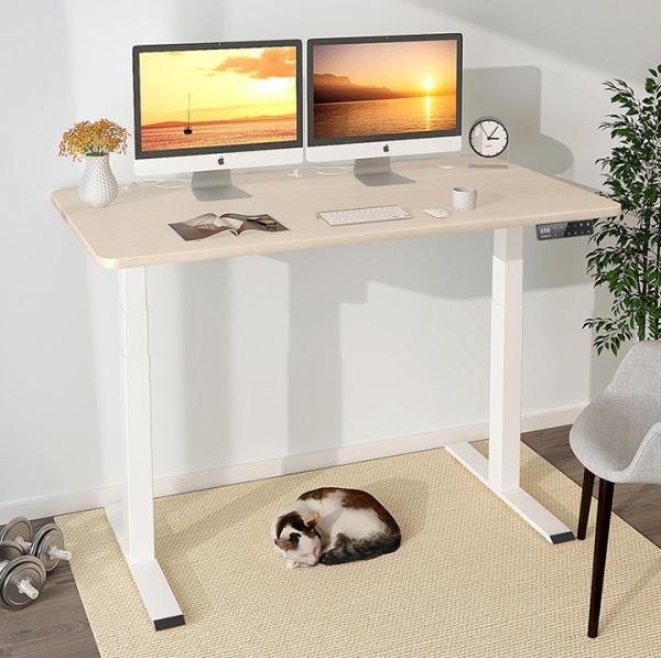 Quality 2 Stage Height Adjustable Office Computer Desk with Dual Motor Wooden Workbench Table for sale