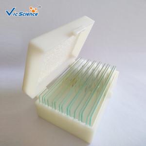China Medical School Plain Microscope Glass Slides 10pcs CE Certification wholesale