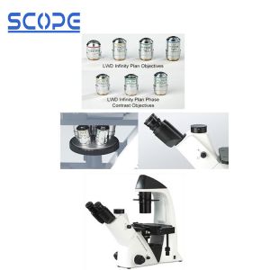 China Live Cell Inverted Biological Microscope , Inverted Compound Microscope wholesale