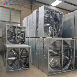 Automatic Broilers / Hens Chicken House Exhaust Fans Ventilation