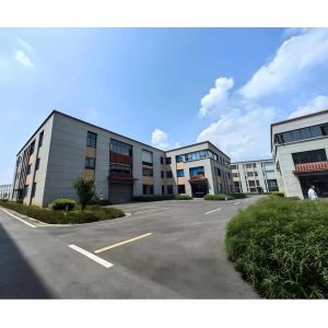 Chongqing Leikan Technology Co., Ltd