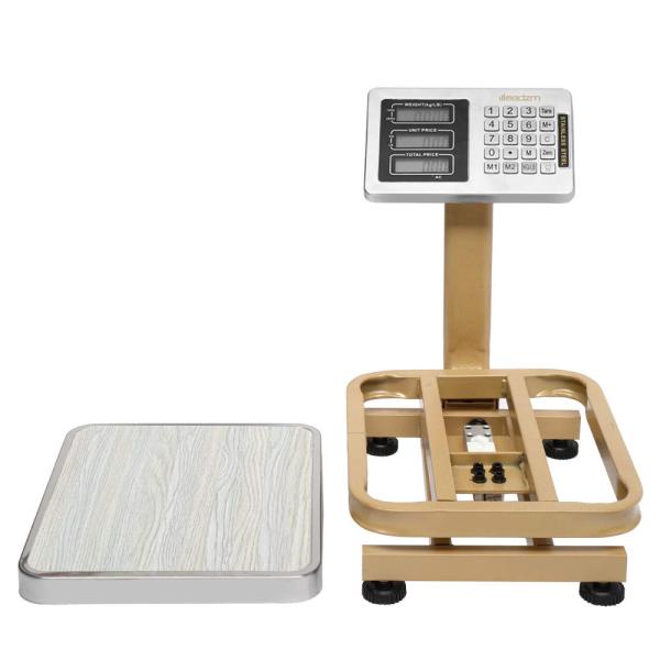 Mini Fold Portable Electronic Scale 60 kg TCS Electronic Platform Scale with Stainless Steel Indicator Bench Scale