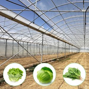 Baolida Polycarbonate Greenhouse Metal Frame Serre Agricole Agricultural