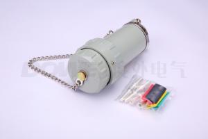 China three phase four wire plug socket 100A electric connector cable connector wholesale