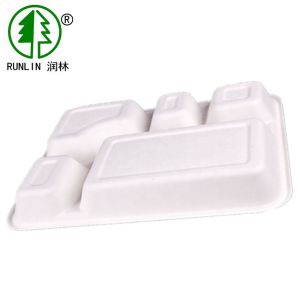 China Disposable 5 Compartments Sugarcane Eco Friendly School Lunch Tray wholesale