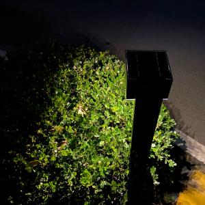 Traditional Outdoor Solar Post Lights 5V 1.6W Metal Pole Garden Accent Light