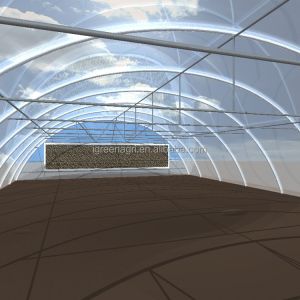Customize Agricultural Greenhouse Poly Film Greenhouse For vegetable growing