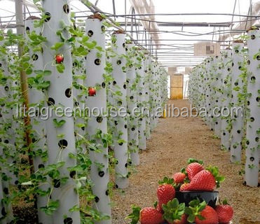 Grow Your Own Strawberries at Home with this Hydroponic Growing System Easy to Install