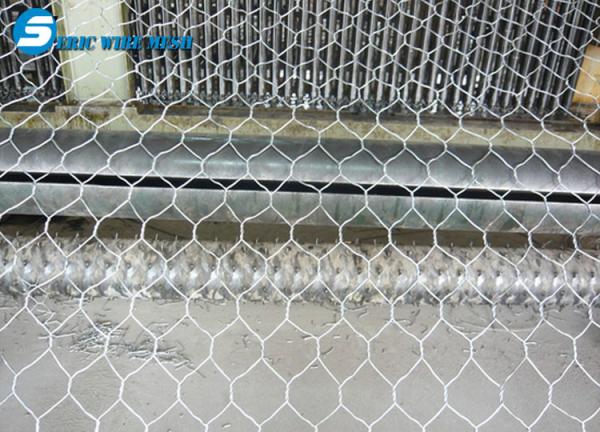 Quality Hexagonal Wire Mesh/Hexagonal Wire Netting/Gabion Mesh for sale