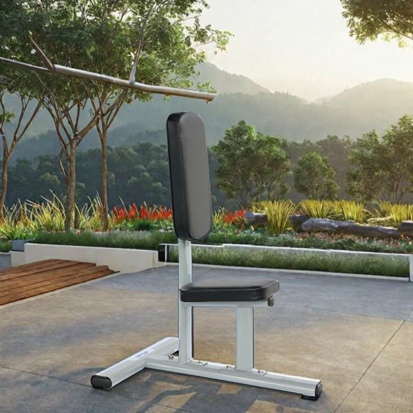 Befreeman Super Metal Gym Unity Bench Indoor Fitness Equipment for Weight Training Commercial Gym Equipment