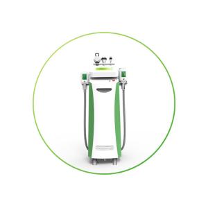 Coolsculpting Cryolipolysis Body Slimming Machine Equipment with Vacuum and RF