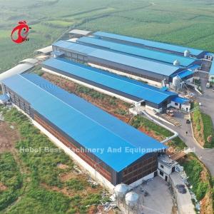 China Automatic Poultry Battery Cage System Coated Wire With Long Lifespan Nigeria Sandy wholesale
