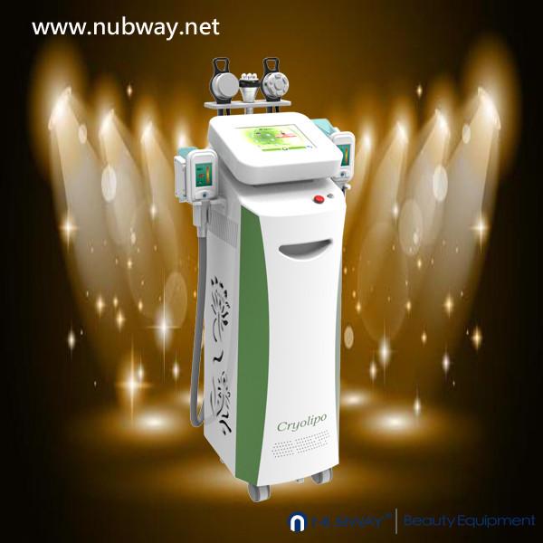 Quality Newest fast amazing result cryolipolysis lose weight to lose weight for sale