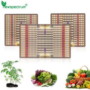 China Full Power 100W Horticulture SMD Chip 3000K For Greenhouse Plants on sale