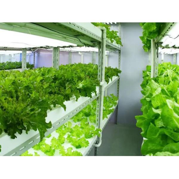 Lighting System for Container Greenhouses Package Gross Weight 2000.000kg Currency US