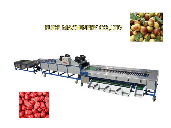 Quality dates cleaning drying grading machine, dates sorting machine for sale