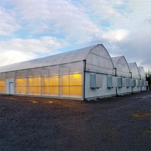 China Agriculture Hemps Growing Light Deprivation Greenhouse Automated Blackout on sale